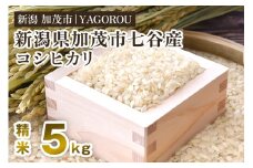 【令和7年産新米先行予約】新潟県加茂市 七谷産コシヒカリ 精米5kg 《10月中旬～順次発送》  新潟産コシヒカリ 豊かな山水で育った天水米 加茂市 YAGOROU ヤゴロウ