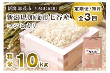【令和7年産新米先行予約】【定期便3ヶ月毎月お届け】新潟県加茂市 七谷産コシヒカリ 精米10kg 《10月中旬～順次発送》 新潟産コシヒカリ 豊かな山水で育った天水米 加茂市 YAGOROU ヤゴロウ