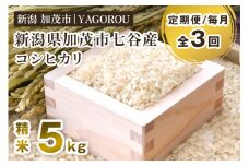 【令和7年産新米先行予約】【定期便3ヶ月毎月お届け】新潟県加茂市 七谷産コシヒカリ 精米5kg 《10月中旬～順次発送》  新潟産コシヒカリ 豊かな山水で育った天水米 加茂市 YAGOROU ヤゴロウ
