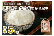 【令和7年産新米先行予約】新潟県加茂市産コシヒカリ 精米5kg（5kg×1袋） 《10月上旬～順次出荷》 新潟産コシヒカリ 新潟米 お米 ライス ごはん ご飯 新潟産 加茂市産 塩原久七農園