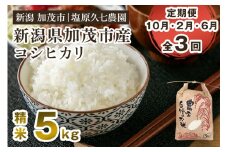 【令和7年産新米先行予約】【定期便3回10月・2月・6月にお届け】新潟県加茂市産コシヒカリ 精米5kg（5kg×1袋） 《10月上旬～順次出荷》 新潟産コシヒカリ 新潟米 お米 ライス ごはん ご飯 新潟産 加茂市産 塩原久七農園