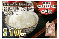 【令和7年産新米先行予約】【定期便3回10月・2月・6月にお届け】新潟県加茂市産コシヒカリ 精米10kg（5kg×2袋） 《10月上旬～順次出荷》 新潟産コシヒカリ 新潟米 お米 ライス ごはん ご飯 新潟産 加茂市産 塩原久七農園