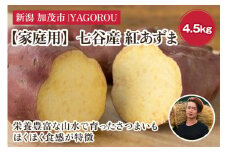 【2025年先行予約】【家庭用】紅あずま 4.5kg（A品・B品混在） 新潟県加茂市七谷産 さつまいも《10月下旬〜順次発送》 サツマイモ お芋 焼き芋 スイートポテト 野菜 根菜 低温熟成 加茂市 YAGOROU ヤゴロウ