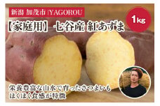 【2025年先行予約】【家庭用】紅あずま 1kg（A品・B品混在） 新潟県加茂市七谷産 さつまいも《10月下旬〜順次発送》 サツマイモ お芋 焼き芋 スイートポテト 野菜 根菜 低温熟成 加茂市 YAGOROU ヤゴロウ