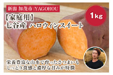 【2025年先行予約】【家庭用】ハロウィンスイート 1kg（A品・B品混在） 新潟県加茂市七谷産 さつまいも《10月下旬〜順次発送》 サツマイモ お芋 焼き芋 スイートポテト 野菜 根菜 低温熟成 加茂市 YAGOROU ヤゴロウ