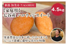 【2025年先行予約】【家庭用】ハロウィンスイート 4.5kg（A品・B品混在） 新潟県加茂市七谷産 さつまいも《10月下旬〜順次発送》 サツマイモ お芋 焼き芋 スイートポテト 野菜 根菜 低温熟成 加茂市 YAGOROU ヤゴロウ