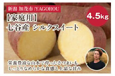 【2025年先行予約】【家庭用】シルクスイート 4.5kg（A品・B品混在） 新潟県加茂市七谷産 さつまいも《11月下旬〜順次発送》 サツマイモ お芋 焼き芋 スイートポテト 野菜 根菜 低温熟成 加茂市 YAGOROU ヤゴロウ