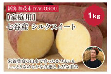 【2025年先行予約】【家庭用】シルクスイート 1kg（A品・B品混在） 新潟県加茂市七谷産 さつまいも《11月下旬〜順次発送》 サツマイモ お芋 焼き芋 スイートポテト 野菜 根菜 低温熟成 加茂市 YAGOROU ヤゴロウ