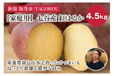 【2025年先行予約】【家庭用】紅はるか 4.5kg（A品・B品混在） 新潟県加茂市七谷産 さつまいも《11月下旬〜順次発送》 サツマイモ お芋 焼き芋 スイートポテト 野菜 根菜 低温熟成 加茂市 YAGOROU ヤゴロウ