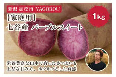 【2025年先行予約】【家庭用】パープルスイート 1kg（A品・B品混在） 新潟県加茂市七谷産 さつまいも《11月下旬〜順次発送》 サツマイモ お芋 焼き芋 スイートポテト 野菜 根菜 低温熟成 加茂市 YAGOROU ヤゴロウ