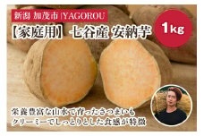 【2025年先行予約】【家庭用】安納芋 1kg（A品・B品混在） 新潟県加茂市七谷産 さつまいも《11月下旬〜順次発送》 サツマイモ お芋 焼き芋 スイートポテト 野菜 根菜 低温熟成 加茂市 YAGOROU ヤゴロウ