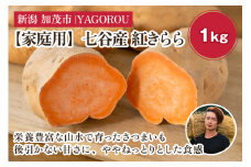 【家庭用】紅きらら 1kg（A品・B品混在） 新潟県加茂市七谷産 さつまいも《11月下旬〜順次発送》 サツマイモ お芋 焼き芋 スイートポテト 野菜 根菜 低温熟成