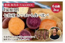 【2025年先行予約】【家庭用】さつまいも6種食べ比べ 3kg（A品・B品混在） 新潟県加茂市七谷産 さつまいも《11月下旬〜順次発送》 サツマイモ お芋 焼き芋 スイートポテト 野菜 根菜 低温熟成