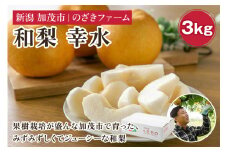 【2025年先行予約】新潟県加茂市産 和梨 幸水3kg（5～9玉）〈8月上旬～順次出荷〉 なし ナシ こうすい 果物 フルーツ 秋の味覚 加茂市 のざきファーム