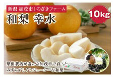 【2025年先行予約】新潟県加茂市産 和梨 幸水10kg（18～32玉）〈8月上旬～順次出荷〉 なし ナシ こうすい 果物 フルーツ 秋の味覚 加茂市 のざきファーム