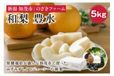 【2025年先行予約】新潟県加茂市産 和梨 豊水5kg（8～16玉）〈9月上旬～順次出荷〉 なし ナシ ほうすい 果物 フルーツ 秋の味覚 加茂市 のざきファーム