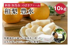 【2025年先行予約】新潟県加茂市産 和梨 豊水10kg（16～32玉）〈9月上旬～順次出荷〉 なし ナシ ほうすい 果物 フルーツ 秋の味覚 加茂市 のざきファーム