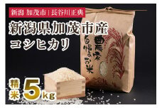 新潟県加茂市産コシヒカリ 精米 5kg 新潟米 お米 白米 ご飯 ライス こしひかり 加茂市 長谷川正典