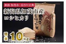 新潟県加茂市産コシヒカリ 精米 10kg 新潟米 お米 白米 ご飯 ライス こしひかり 加茂市 長谷川正典