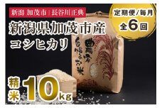 【定期便6ヶ月毎月お届け】新潟県加茂市産コシヒカリ 精米 10kg 新潟米 お米 白米 ご飯 ライス こしひかり 加茂市 長谷川正典