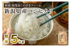 【令和7年産新米先行予約】新潟県産コシヒカリ 精米5kg（5kg×1袋）（従来品種） 《9月下旬から順次出荷》 新潟米 お米 こめ コメ ライス ご飯 白米 加茂市 のざきファーム