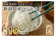 【令和7年産新米先行予約】新潟県産コシヒカリ 精米10kg（10kg×1袋）（従来品種） 《9月下旬から順次出荷》 新潟米 お米 こめ コメ ライス ご飯 白米 加茂市 のざきファーム