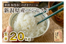 【令和7年産新米先行予約】新潟県産コシヒカリ 玄米20kg（20kg×1袋）（従来品種） 《9月下旬から順次出荷》 新潟米 お米 こめ コメ ライス ご飯 加茂市 のざきファーム