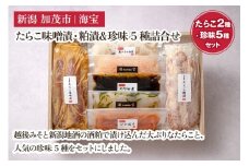 たらこ味噌漬・粕漬&珍味5種詰合せ（たらこ各250g・いか塩辛70g・のり佃煮70g・甘えび塩辛70g・柚子イカ昆布70g・数の子山海漬70g） 水産加工品 海産物 おかず ご飯のお供 おつまみ 肴 魚卵 タラコ 新潟県 加茂市 海宝