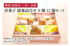 洋菓子 銘菓詰合せ 9種12個セット お菓子 スイーツ 甘味 甘いもの 詰め合わせ 焼き菓子 有限会社京家 加茂市