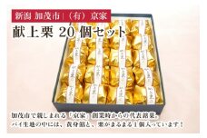 献上栗 20個セット 和菓子 お菓子 スイーツ 和スイーツ くり マロン 焼菓子 焼き菓子 銘菓 京家 加茂市