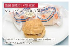 シューアイス チョコ 8個 アイスクリーム しゅーあいす スイーツ ひんやり 氷菓 ジェラート 洋菓子 京家 加茂市