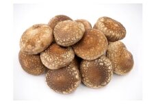 【2025年先行予約】加茂市の生しいたけ  約500g（10～15個）《10月下旬～順次発送》青木農園で栽培された椎茸 きのこ 秋の味覚 加茂市 マルダイ有本商店