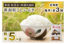 【令和7年産新米】【定期便3ヶ月毎月お届け】新潟県産こしいぶき 精米 5kg 《順次出荷》 コシイブキ 新潟米 お米 白米 ライス ご飯 加茂市 捧運次商店