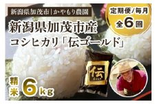【令和7年産新米】【定期便6回毎月お届け】新潟産コシヒカリ「伝ゴールド」白米真空パック 精米 6kg（1.5kg×4）《9月下旬から順次出荷》 南麻布の高級料亭で提供される極上米 かやもり農園