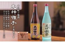 十日町の地酒【天神囃子】2本セット