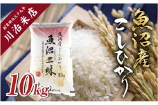 令和6年産 魚沼産 コシヒカリ 10kg 米 こしひかり お米 コメ 新潟 魚沼 魚沼産 白米 送料無料 新潟県産 精米 産直 産地直送 契約農家 お取り寄せ 魚沼三昧 川治米店 新潟県 十日町市 もちもち 甘み 