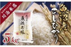 令和6年産 魚沼産 コシヒカリ 5kg 米 こしひかり お米 コメ 新潟 魚沼 魚沼産 白米 送料無料 新潟県産 精米 産直 産地直送 契約農家 お取り寄せ 魚沼三昧 川治米店 新潟県 十日町市 