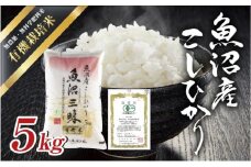 令和6年産 魚沼産 コシヒカリ 有機栽培米 5kg 米 こしひかり お米 コメ 新潟 魚沼 魚沼産 白米 送料無料 新潟県産 精米 産直 産地直送 有機栽培 お取り寄せ 魚沼三昧 川治米店 新潟県 十日町市 もちもち 