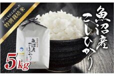 令和6年産 魚沼産 コシヒカリ 特別栽培米 5kg 米 こしひかり お米 コメ 新潟 魚沼 魚沼産 白米 送料無料 新潟県産 精米 産直 産地直送 契約農家 お取り寄せ 魚沼三昧 川治米店 新潟県 十日町市 もちもち 