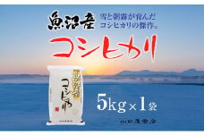 【厳選☆十日町育ち】魚沼産コシヒカリ　5kg