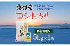 【厳選☆十日町育ち】“特別栽培米” 魚沼産コシヒカリ　5kg