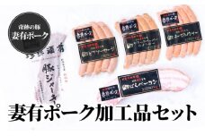 【魚沼銘柄豚】妻有ポーク加工品セット