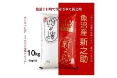 令和6年産 魚沼産 新之助 5kg×2 米 お米 コメ プレミアム米 新潟 魚沼 魚沼産 白米 送料無料 新潟県産 精米 産直 産地直送 契約農家 お取り寄せ 魚沼三昧 川治米店 新潟県 十日町市 大粒 甘み 