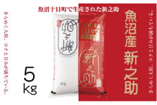 令和6年産 魚沼産 新之助 5kg 米 お米 コメ プレミアム米 新潟 魚沼 魚沼産 白米 送料無料 新潟県産 精米 産直 産地直送 契約農家 お取り寄せ 魚沼三昧 川治米店 新潟県 十日町市 大粒 甘み 