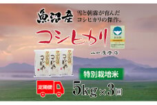 定期便 全3回 特別栽培米 魚沼産コシヒカリ 5kg