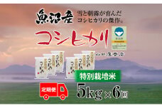 定期便 全6回 特別栽培米 魚沼産コシヒカリ 5kg