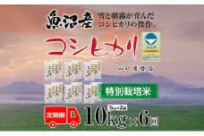 定期便 全6回 特別栽培米 魚沼産コシヒカリ 5kg×2袋