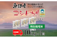 定期便 全3回 特別栽培米 魚沼産コシヒカリ 5kg×2袋