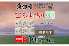 定期便 全6回 有機栽培米 魚沼産コシヒカリ 5kg×2袋