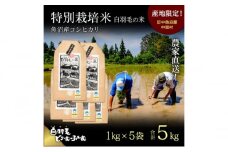 【通年受付】≪令和6年産≫　農家直送！魚沼産コシヒカリ特別栽培「白羽毛の米」精米 (1kg×5袋) 5kg